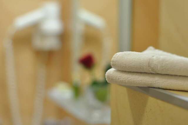 Отель Артотель Мини-Отель Буковель-25